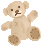 teddy