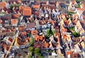 ulm